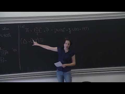 Maria Colombo - Instability and non-uniqueness for the Euler and Navier-Stokes equations 2