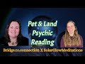 Megan Gets A Psychic Reading Pet Land Psychic Reading With Hannah From Bridge To Connection