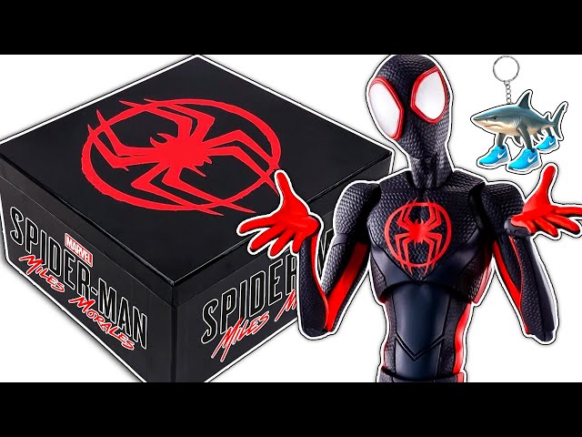 Vídeo relacionado con CERDÁ Caja Regalo de 12 Pares de Calcetines Marvel - Talla 40/46 | 98% Poliéster, 2% Elástico | Edición Exclusiva Redstring | Diseños Originales de Tus Personajes Favoritos