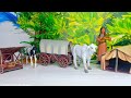How To Make A Cow Cart Miniature Village Of Cardboard Diy