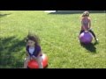 BOUNCY BALL RACE