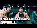 PARABOLAN SMELLS LIKE.. VICTORY