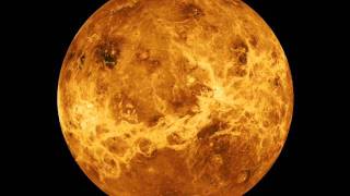 Dreams of Dying Stars - In Orbit
