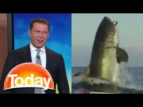 Aussie TV host's hilarious reaction to shark footage