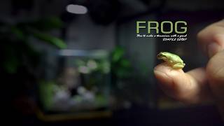 Make a Mini Terrarium POND for Tiny FROGS |ビバリウム
