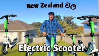 New Zealand වල Electric Scooters 🛴 | Mr Shehan | How to use Lime Scooter | New Zealand