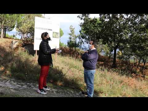 Floresta e Pandemias