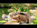 New Cartoon Movie In Hindi 2020 Hollywood Animation Movies Hindi Cartoon Movie In Hindi Dubbed