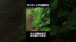 ランディング草刈り　大トロ部分切り抜き