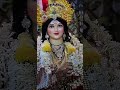 Tere Dar Ko Mai Chor Kaha ️ Shortsvideo Ytshorts Status Shortsfeed Like Share Subscribe