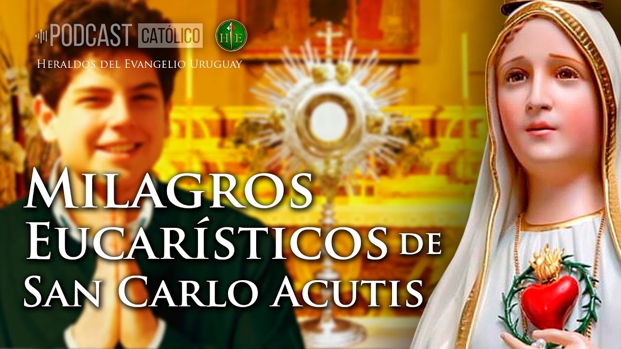 Exposición de Milagros Eucarísticos de Carlo Acutis - Podcast