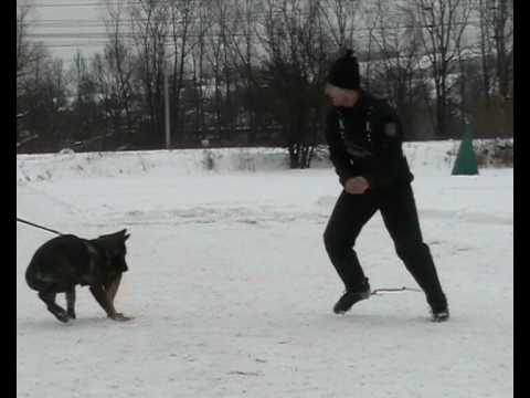 Cora Yucero Bohemia - protection