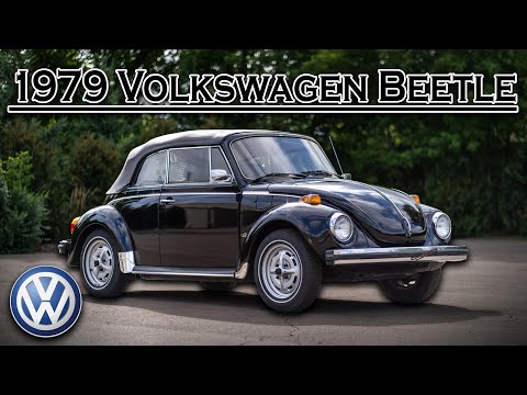 1979 Volkswagen Beetle (CC-1392263) for sale in Milford, Michigan