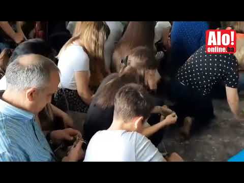 Pletenje vjenčića, Duhovi 2022.