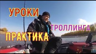 Как ловить щуку на дорожку уроки