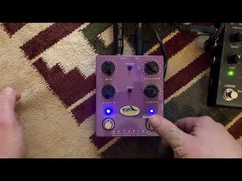 T-Rex Betavibe 2010s - Purple image 3
