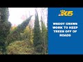 WSDOT Crews Work To Keep Trees Off The Roads During Windy Weather
