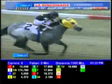 Resumen Domingo, 13 de Mayo de 2012 - La Rinconada