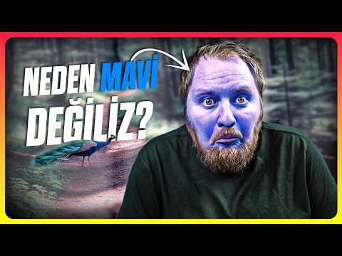 Doğada Mavi Renk Neden Bu Kadar Nadir?