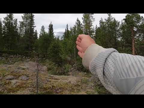 ROBSAM ! Den hemliga kanon fästningen i  Malmberget !