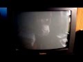 Opening To Plaza Suite 1984 VHS