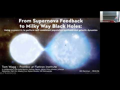 From Supernova Feedback to Milky Way Black Holes: Using Cogsworth to Perform Self-Consistent Population Synthesis with Galactic Dynamics