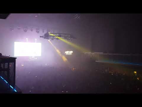 Phlegmatic Dogs, 12.07.19 Bonfire