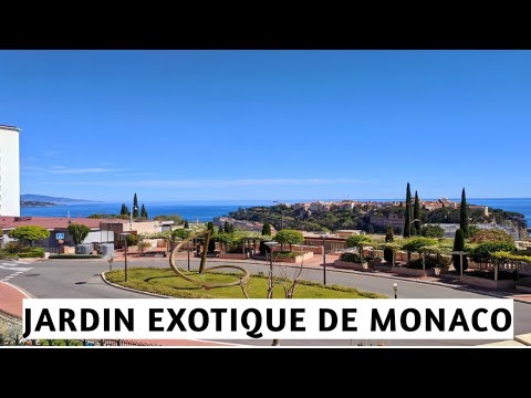 Jardin exotique de monaco #europe #travel #summervibes nice south of France to monaco