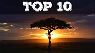 Top 10 cosa vedere in Kenya