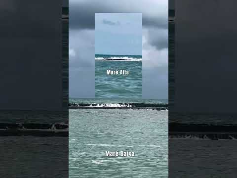 Praia da Barra de São Miguel, Alagoas