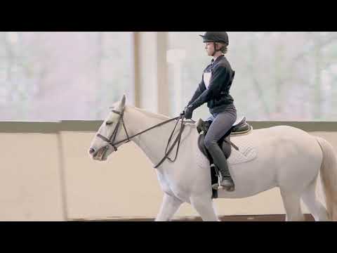 Career Pathways Training Guide Stage 1 Ride