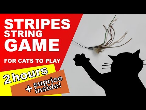 Cat Games: 2 Hours! (Surprise Inside)