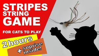 Download lagu Cat Games: 2 Hours! (Surprise Inside) mp3