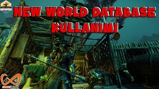 New World Database & Map Kullanımı
