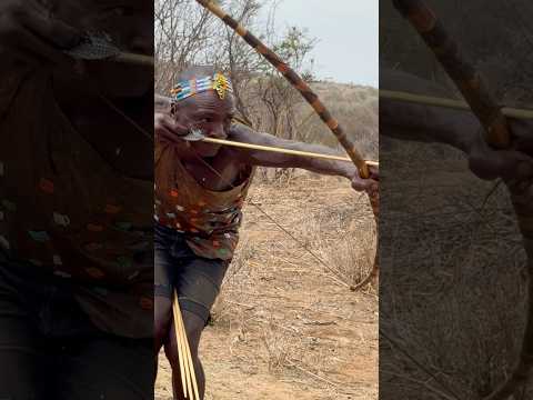 Using Handmade bow and arrow to hunt their Food #tradition #bushcraft