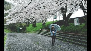 April Rain - Sad &amp; Beautiful Piano ｜BigRicePiano