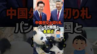【中国×パンダ】中国と韓国がパンダで急接近？　#政治   #雑学   #日本   #高市政権
