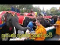 තුන්සරසරණේ කවි | Purana Thunsarana Kavi| Haliyadde Dhammapeethi thero