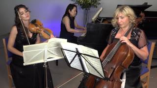 Mendelssohn Trio-1 (ViEtTa Trio - Yanat Murga, Victoria Balan, Etsuko Shigemoto)