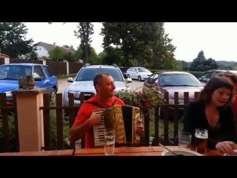 Škola harmoniky Chotěmice - Václav Koubek 2013