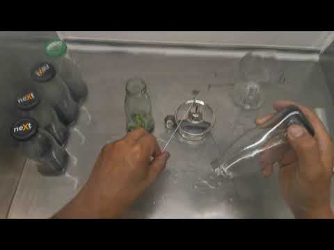 Maintain orchid seedlings(3)