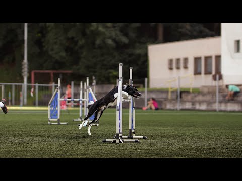 PURE PLEASURE AT TACHYON | 12/2023