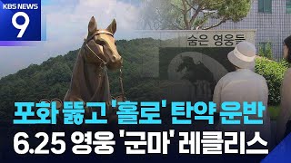 6.25 영웅 군마 ‘레클리스 하사’를 아시나요? [9시 뉴스] / KBS 2026.06.19.