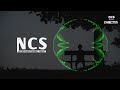 DayFox Jungle NCS MUSIC