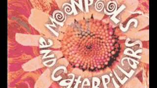 The Moonpools and Caterpillars - Highwire