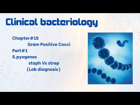 Clinical bacteriology # GPC # S.pyogenes # Levinson # Chapter 15