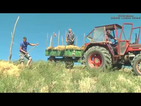 FILM OD POLJA, POLJU - Obicaji Radjevine - Dobrivoje i Dobrila Pantelic