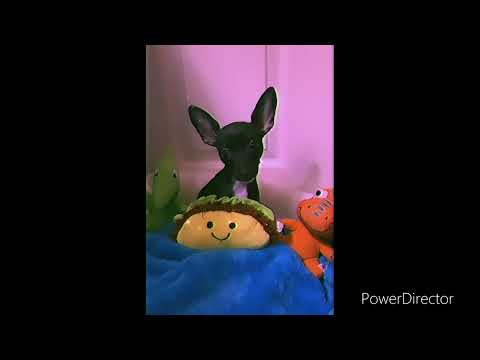 Teflon Pablo - Pebbles (Freestyle)