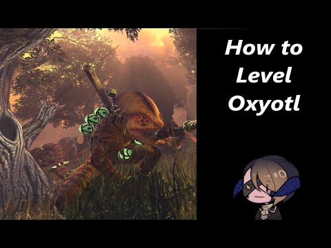 How to Level -  Oxyotl