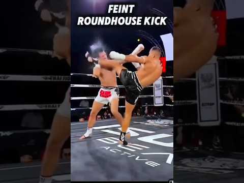 Feint And Roundhouse Kick 💯🔥😱